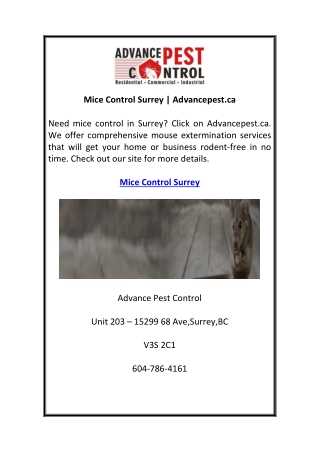 Mice Control Surrey  Advancepest.ca