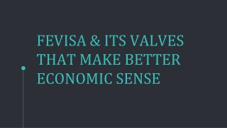 FEVISA & ITS VALVES THAT MAKE BETTER ECONOMIC SENSE