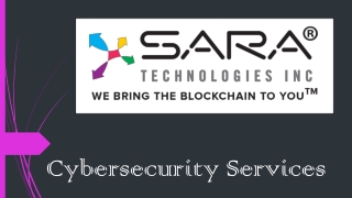 Cybersecurity Service Provider