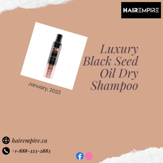 Shop Natural Dry Shampoo Online at HAIR EMPIRE