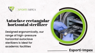 Autoclave for Rectangular Horizontal Sterilizers | Esporti-Impex