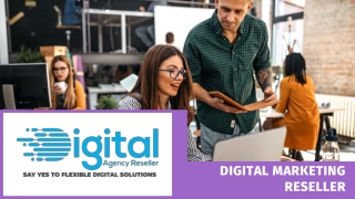 Get Leading Digital Marketing Reseller Services