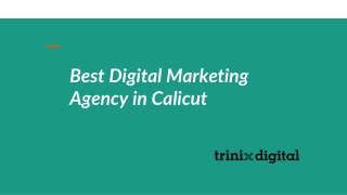 Best Digital Marketing Agency in Calicut