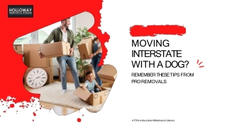 Moving Interstate With A Dog? Remember These Tips From Pro Removals