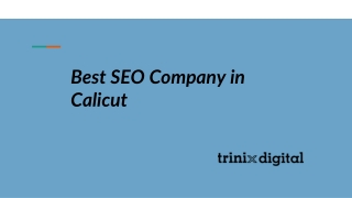 Top SEO Services in Calicut | 2023 - 2024