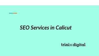 SEO Services in Calicut