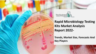 Rapid Microbiology Testing Kits Market Estimated Growth Curve