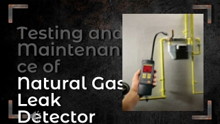 Testing and Maintenance of Natural Gas Leak Detector