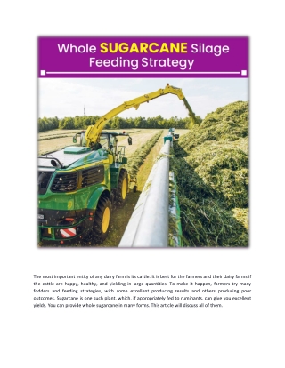 whole sugarcane_ feeding strategy