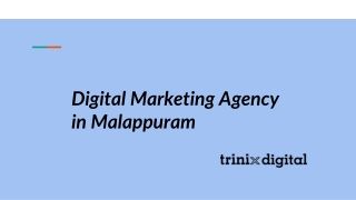 Digital Marketing Agency in Malappuram