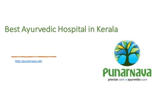 Best ayurvedic center in kerala | Punarnava Ayurveda