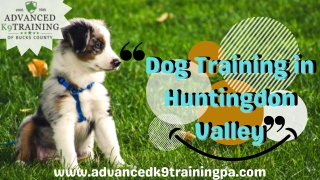 Find out the best Dog Training in Huntingdon Valley for your pets -Advanced K9 T