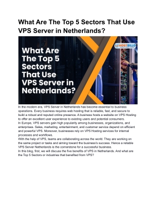 What Are The Top 5 Sectors  That Use VPS Server in Netherlands_