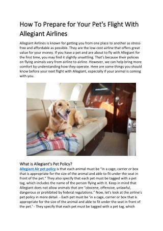 How To Prepare for Your Pet's Flight With Allegiant Airlines