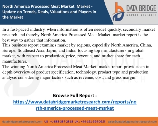 north-america-processed-meat-market