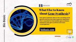 Custom Gene Synthesis Order Portal