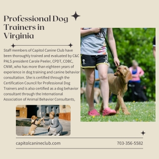 Professional Dog Trainers in Virginia