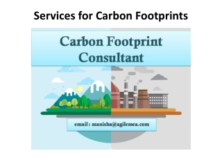 Services for Carbon Footprints