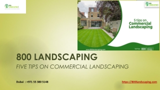 Five tips On Commercial Landscaping