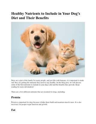Raw Rabbit Dog Food | Raw Pet Food Miami