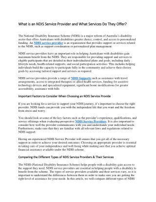 What is an NDIS Service Provider and What Services Do They Offer