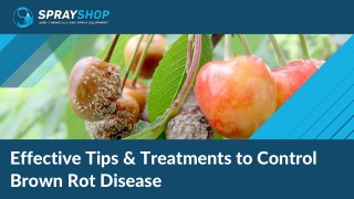 Effective Tips & Treatments to Control Brown Rot Disease