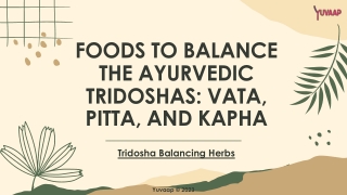 Foods To Balance Ayurveda Tridosha: Vata, Pitta, And Kapha