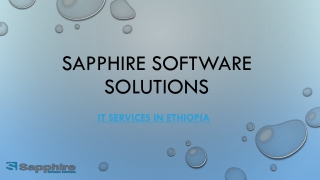 IT Services In Ethiopia