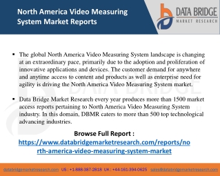 North America Video Measuring System-SE