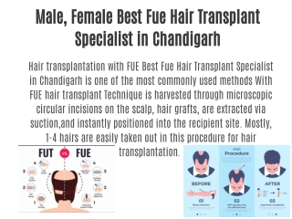 Male, Female Best Fue Hair Transplant Specialist in Chandigarh