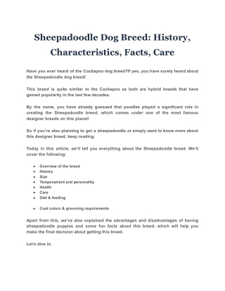 Sheepadoodle Dog Breed: History, Characteristics, Facts, Care