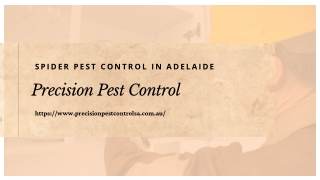 Termite Inspection Adelaide | Australia