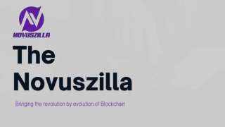 NFT Marketplace headquartered on the Novuszilla Entertainment sector trading usi