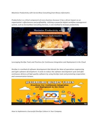 Software Development Company in India