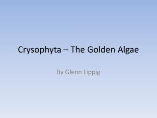 Crysophyta – The Golden Algae