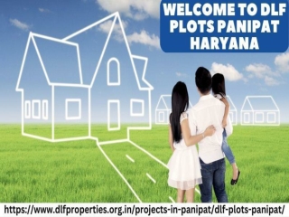 DLF Plots Panipat | This Perfect Plot For You In The Best Location