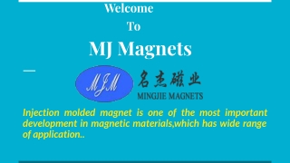 Purchase Injection Cerimic Magnet- In China