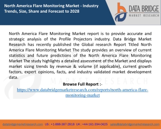 North America Flare Monitoring Market report