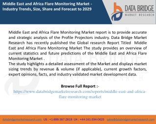 Middle East and Africa Flare Monitoring Market