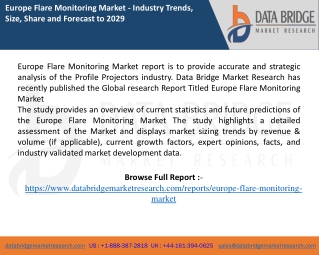 Europe Flare Monitoring Market report