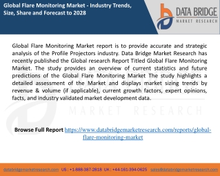 Flare Monitoring Market report