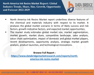 North America Ink Resins Market report