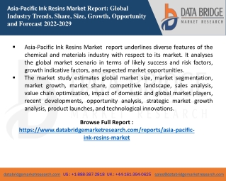 Asia-Pacific Ink Resins Market  report