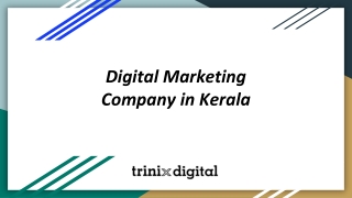 Digital Marketing Company in Kerala