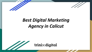 Best Digital Marketing Agency in Calicut