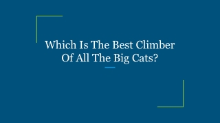 Which Is The Best Climber Of All The Big Cats_