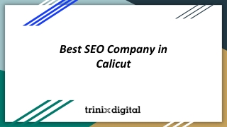 Best SEO Company in Calicut