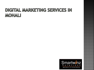 Digital Marketing Services in Mohali