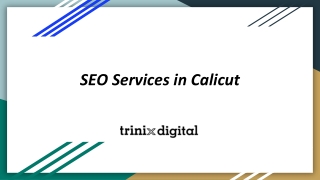 Get SEO Services in Calicut