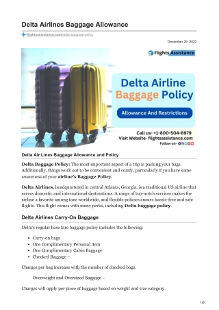 Delta Airlines Baggage Allowance
